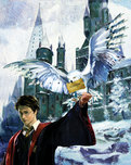 Harry Potter Artwork Harry Potter Artwork Harry and Hedwig (Canvas)